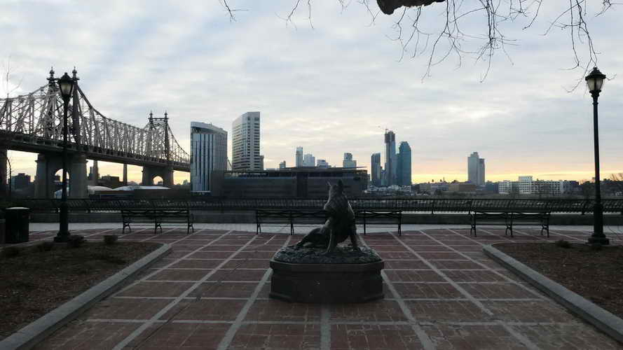 NYC_2020-01-27 07-50-53_P1070755